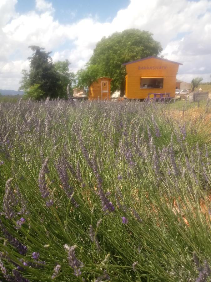 Chambre A La Ferme Au Milieu Des Lavandes Valensole Exterior photo